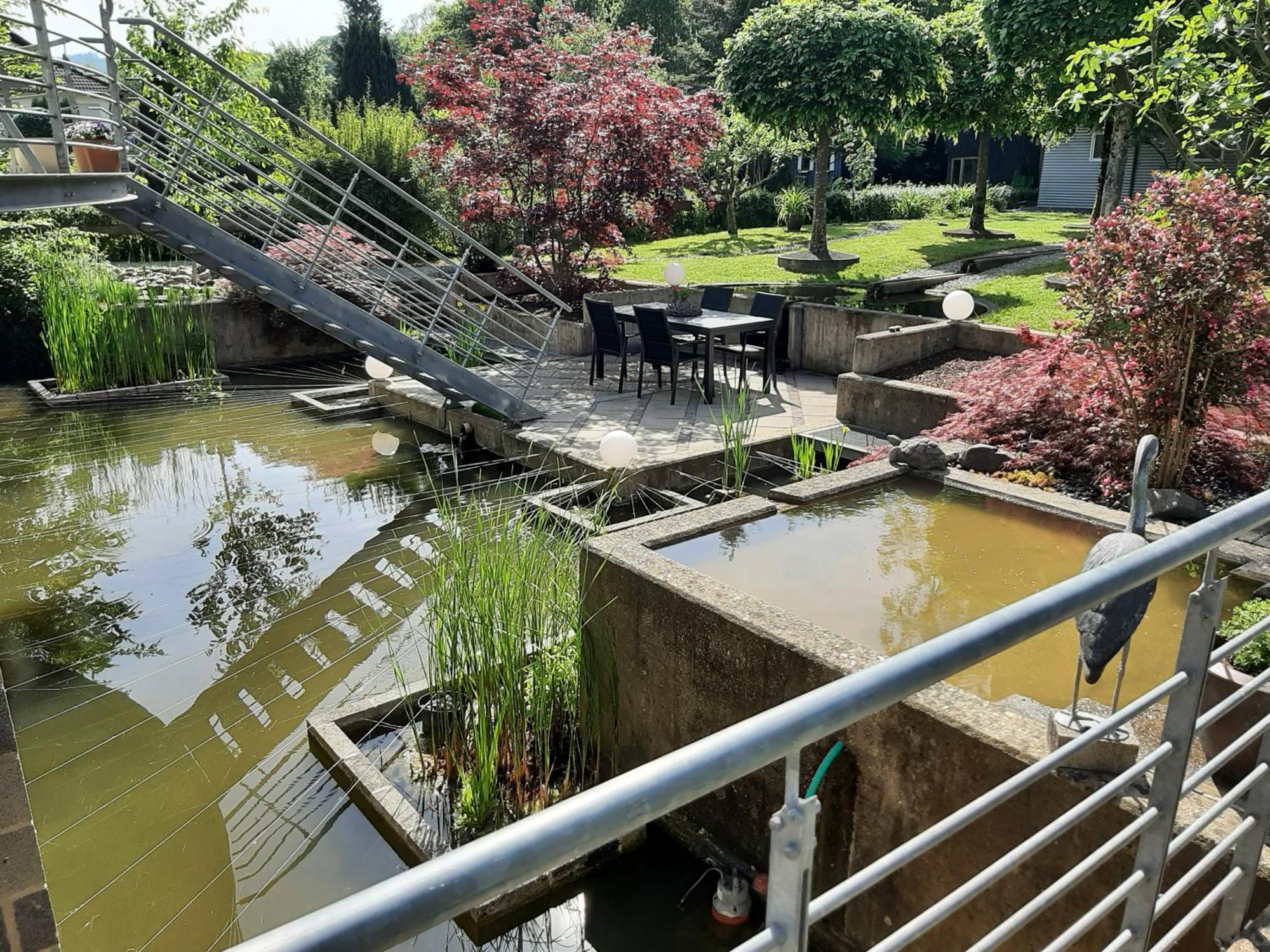 Ferienwohnung Sternenwald الف المظهر الخارجي الصورة